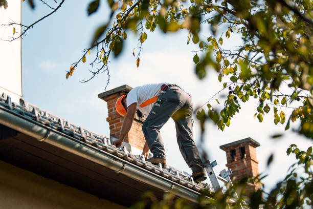 Best Storm Damage Roof Repair  in Radford, VA